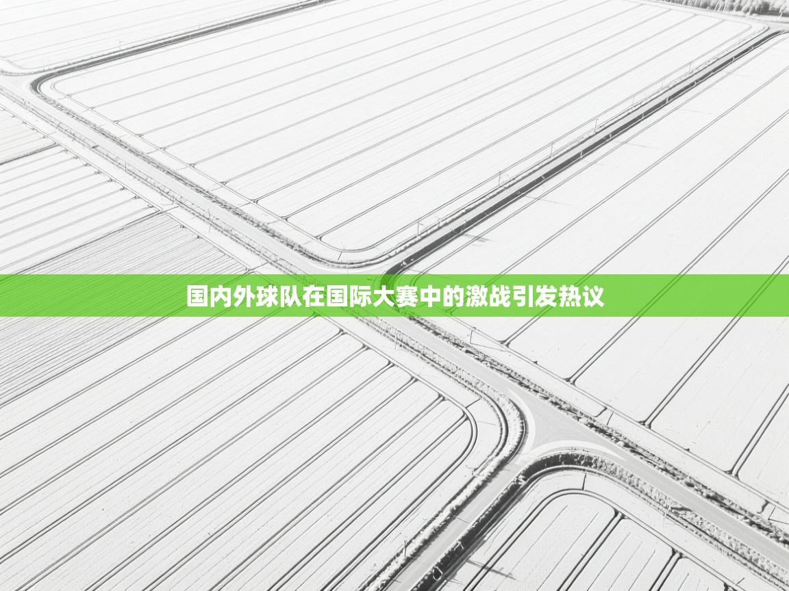 国内外球队在国际大赛中的激战引发热议 第2张