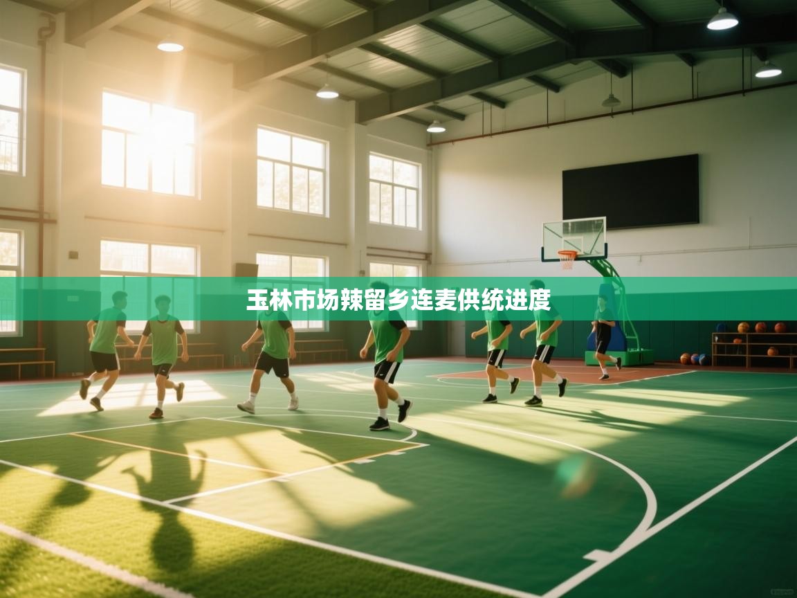 玉林市场辣留乡连麦供统进度 第2张