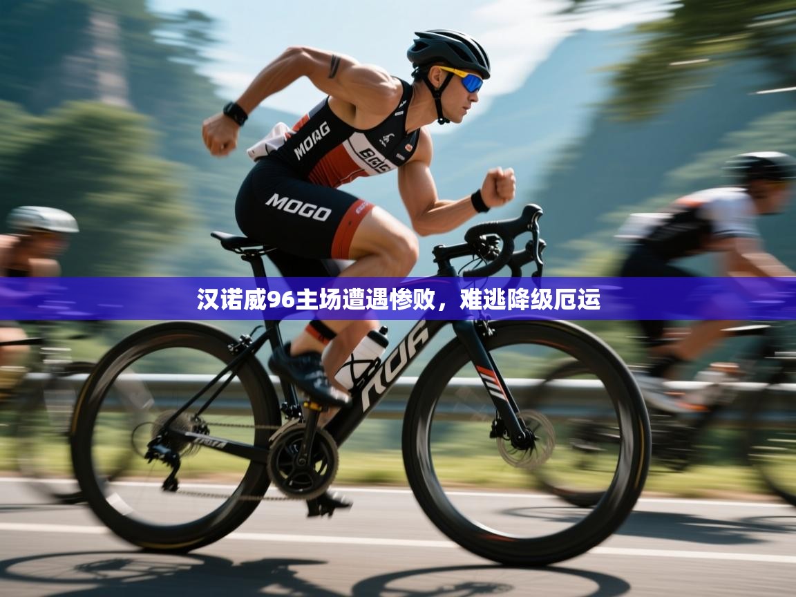 汉诺威96主场遭遇惨败，难逃降级厄运  第2张