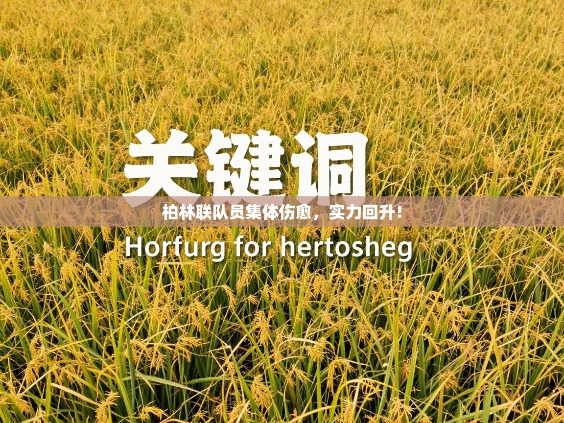 柏林联队员集体伤愈，实力回升！  第1张