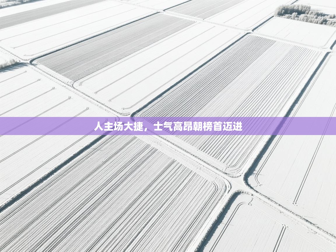 人主场大捷，士气高昂朝榜首迈进  第1张